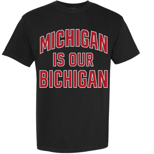 Michigan is our Bichigan Shirt
